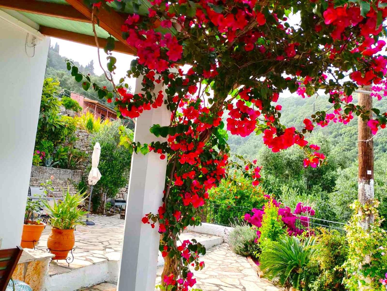Вилла Fior Di Corfu Калами Экстерьер фото